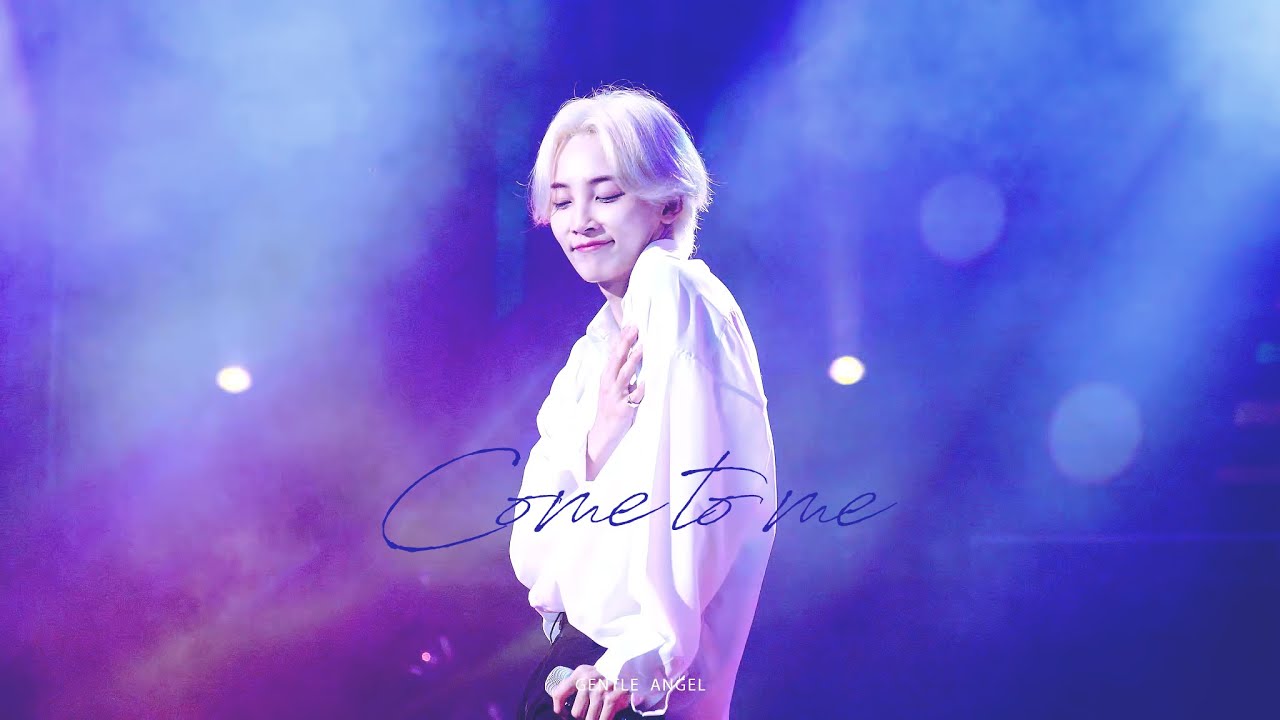 190629 성남 파크콘서트 세븐틴 나에게로 와 - 정한 (4K)