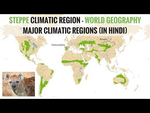 स्टेपी जलवायु क्षेत्र - विश्व भूगोल प्रमुख जलवायु क्षेत्र (हिंदी में)