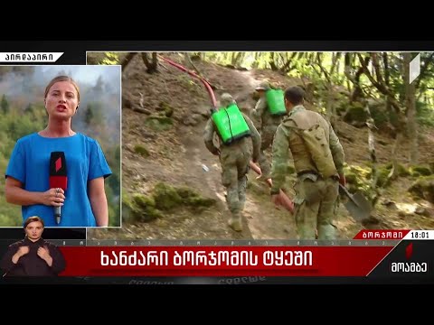 ხანძარი ბორჯომის ტყეში