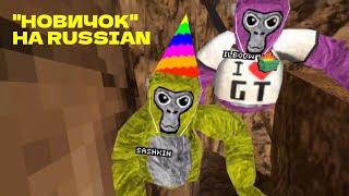Притворился НОВИЧКОМ в gorilla tag