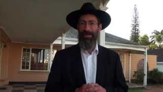 The Shabbos Project