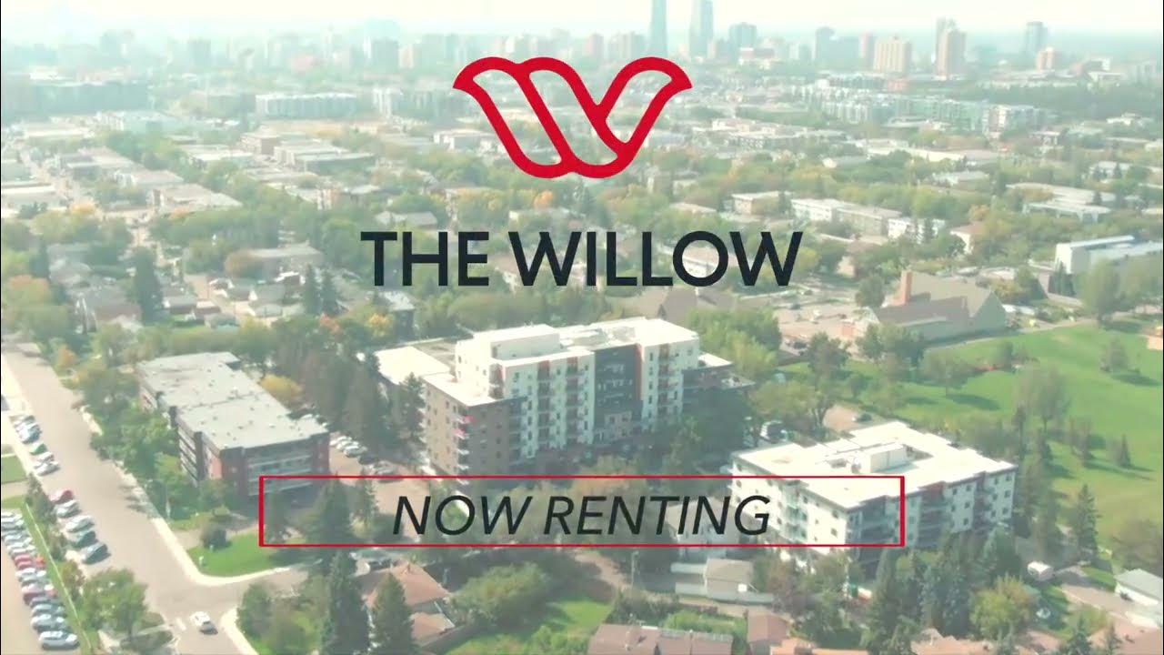 The Willow Now Renting! YouTube