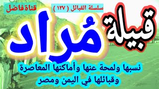 قبيلة مراد نسبها ولمحة عنها وأماكنها المعاصرة وقبائلها في اليمن وفي مصر