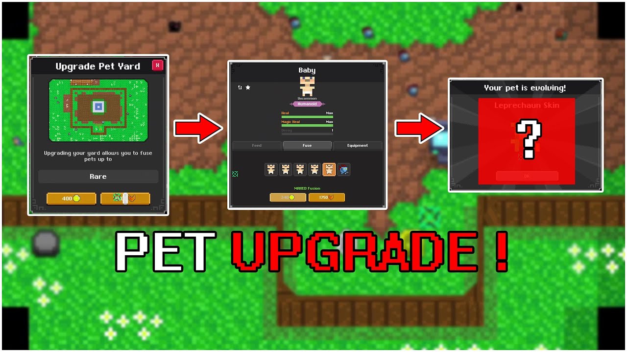 Finally Pet Fusion and Saddle Bag is Back EP 9 0 To Divine Pet