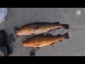 Girteka рыбалка в Норвегии