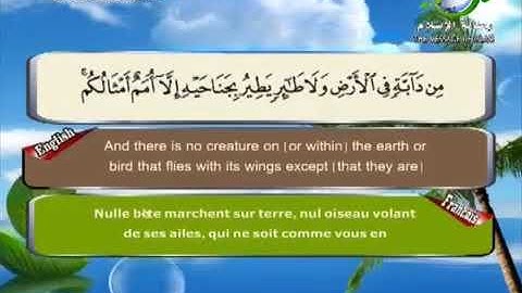 Surat Al Anaam Sheikh Saad Al Ghamdi سورة الانعام الشيخ سعد الغامدي