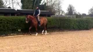 Historical Giant having a lesson with Katie Jerram