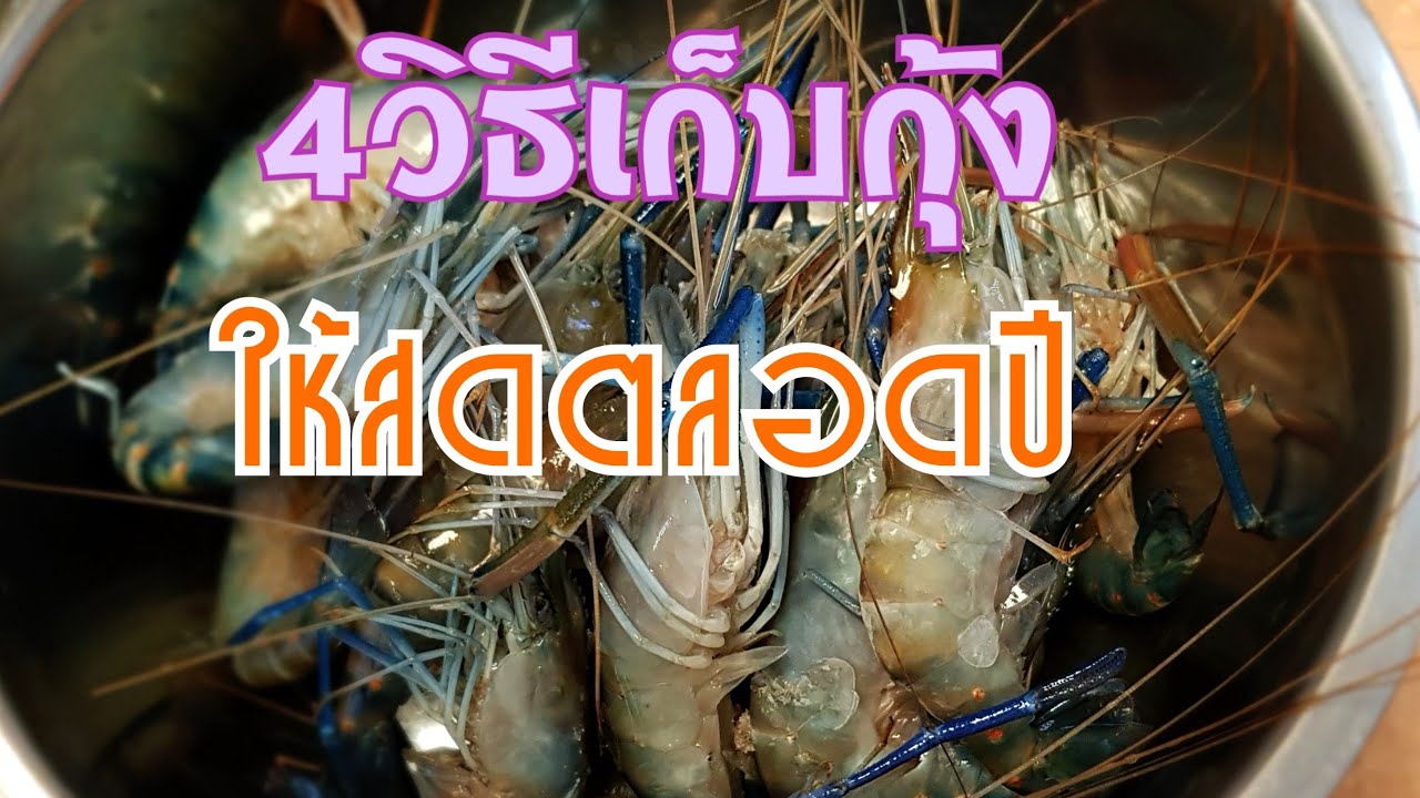 #กุ้งสด #การเก็บกุ้งให้สดนานๆ 4วิธีง่ายๆไม่ยุ่งยาก หยิบมาใช้สะดวก