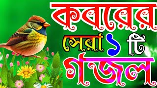 কলিজা ঠান্ডা করা একটি গজল || কবরের গজল | Bangla Gojol 2023 | new Islamic song | বাংলা গজল ২০২৩ সালের