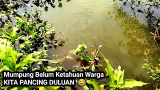 Warga kok gak tau di sungai samping rumahnya ada ikan bandeng besar² sebanyak ini