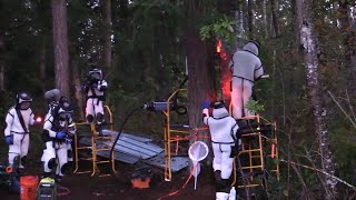 Couple Watches Murder Hornet Nest Get Removed