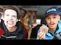 Cop Surprises Vampire Puppy With Car Ride Chase!