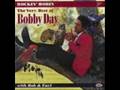 Bobby dayrockin robin