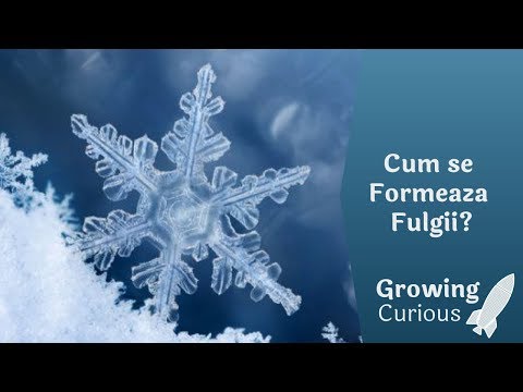 Video: Cum Se Formează Zăpada