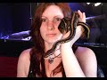 "Acacia Ball Pythons" Introduction