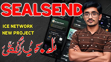 Ice Network Mining with Sealsand: The Ultimate Guide!