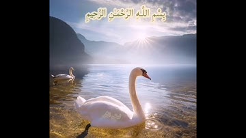 سورة الأنعام الصفحة 143 مكررة بصوت الشيخ أيمن سويد