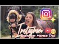 Instagram bestimmt meinen tag  askino