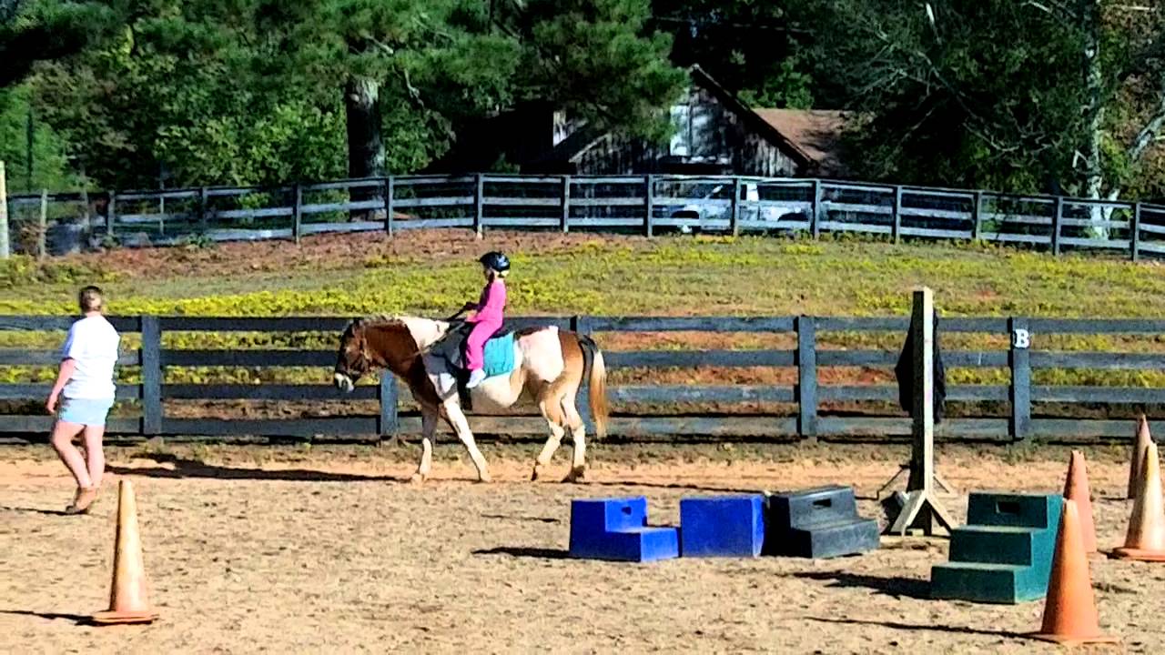charlotte-s-riding-lesson-youtube