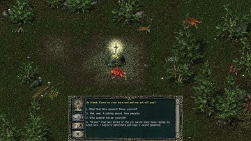 Divine Divinity (Part 68) - Dark Forest - Northeastern woods explored