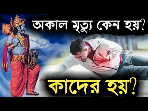 ভিডিও: কেন ঘুড়ির পুনর্জন্ম হয়েছিল?