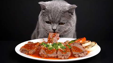 Watch the video about British Shorthair Eats Spicy Korean BBQ | Juicy, Sizzling & Satisfying Sounds | Cat ASMR