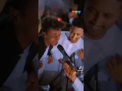 رشدي الجلابي شالتو الروزه