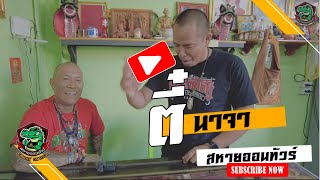 ตี๋นาจา | สหายออนทัวร์