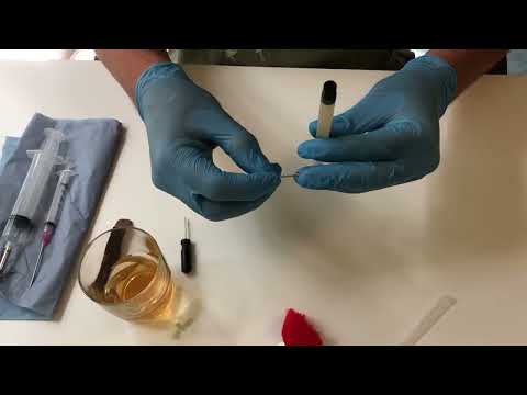 Filling dart syringe, Gewehrspritzen befüllen @ teledart
