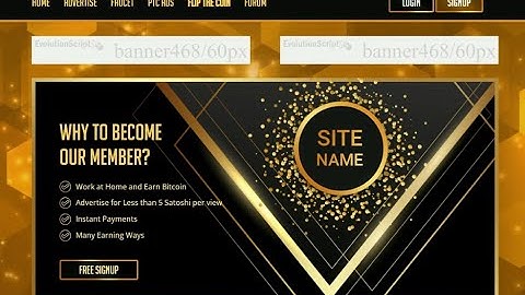 PTC Evolution Script Get Paid Template : Get Paid Template For PTC Evolution Script : 19