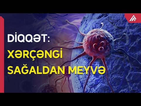 Video: Ərik Bakterial Xərçəng Xəstəliyi: Ərikdə Bakterial Xərçəngin Qarşısının Alınması