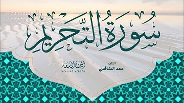 Ahmed Al-Shafey | 066. At-Tahrim | أحمد الشافعي | سورة التحريم