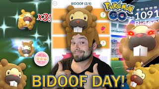 SHINIES, HUNDOS, \& MORE! BIDOOF DAY WAS AWESOME! (Pokemon GO)