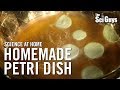 The Sci Guys: Science at Home - SE2 - EP3: Homemade Petri Dish - Growing Bacteria at Home