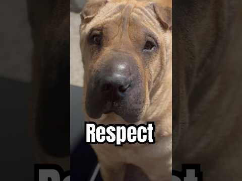 Respect