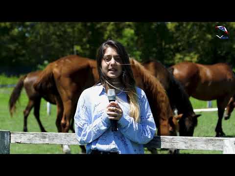 მალე... გადაცემა ,,პაემანი ფოთთან\"