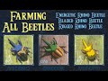 BotW Farm Beetles Easily | Energetic, Rugged & Bladed Rhino Beetles