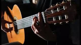 Turkmen gitara taze (Amangul)