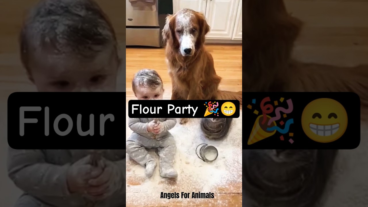 Kitchen chaos! Baby and dog's flour party 🤣 
