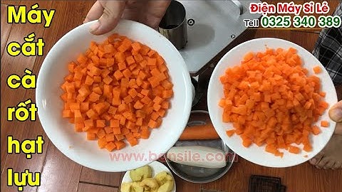 Máy cắt hạt lựu - xắt hạt lựu - thái hạt lựu cà rốt, củ quả bán chạy nhất năm 2023