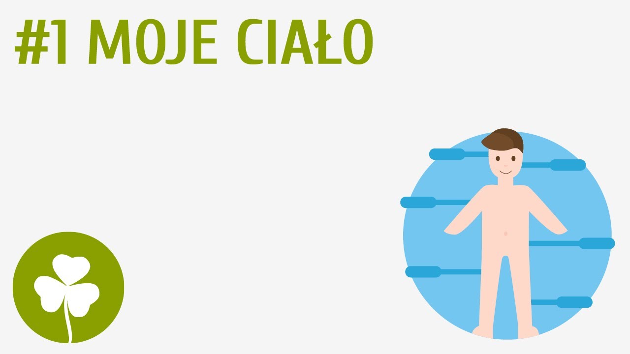 Moje ciało #1 [ Moje ciało ] - YouTube