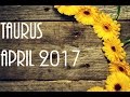 Taurus April 2017 Astrology - Coming back stronger