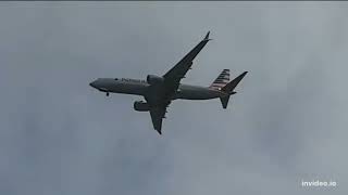 American Airlines | Boeing 737 MAX 8 | Arriving from Miami | Plane Action