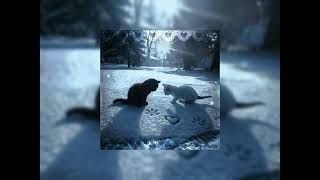 You Are Glass  O kaden Mackay sextended