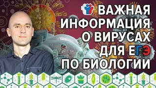 20. Важная информация о вирусах для ЕГЭ по биологии 20. Важная информация о вирусах для ЕГЭ по биологии