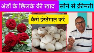 Eggshells से बनाएं जादूई npk Fertilizer।कैसे इस्तेमाल करें/Organic npk for Plants by Grandpa Garden 393 views 1 month ago 8 minutes, 58 seconds