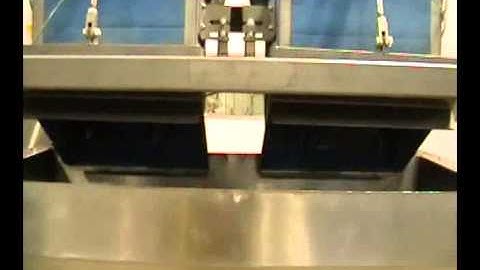 Ohlson Dual Lane Linear Scale