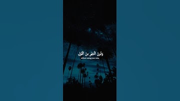 اكتب شيء تؤجر عليه 🩶😴 / القارئ ياسر الدوسري