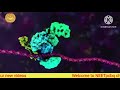 DNA animation
