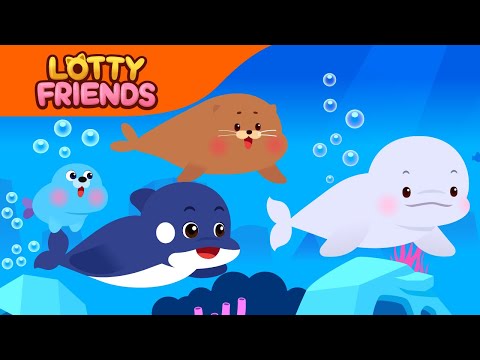 Beluga Luga Sing Along Kid S Songs White Whale Beluga 